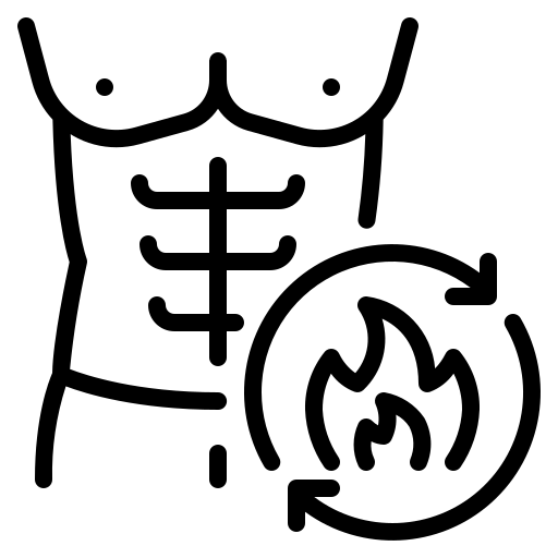 Metabolism Icon
